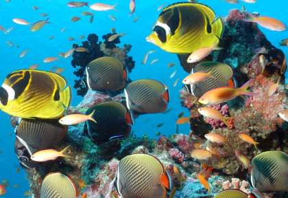 Phuket © Shutterstock - Think4photop