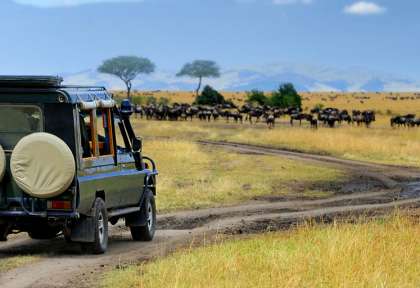 Safari au Kenya © Shutterstock - Volodymyr Burdiack
