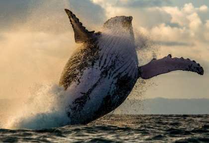 Saint Marie © Shutterstock - Gudkov Andrey