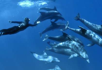 Sodwana Bay © Shutterstock - Fiona Ayerst