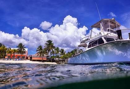 Little Cayman - Reef Divers