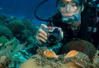 Ambon
Moluques - Indonésie