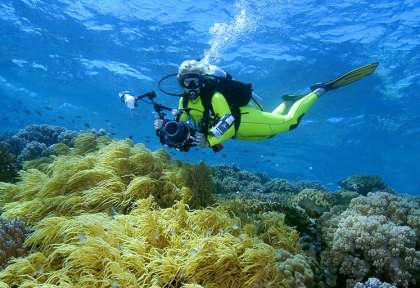 Wakatobi Dive Center © Leon Joubert