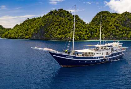 Seahorse - Wallacea Dive Cruise © Beth Watson