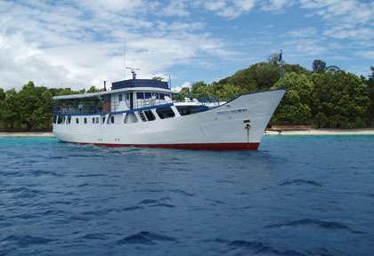Plongée aux Iles Salomon
