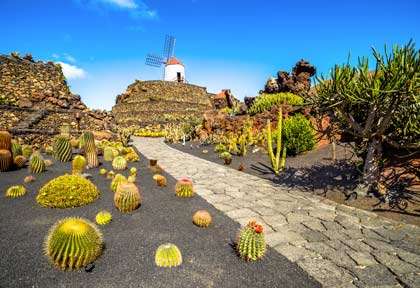 Jardin de cactus à Lanzarote