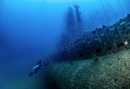 Plongée sous-marin Apogon