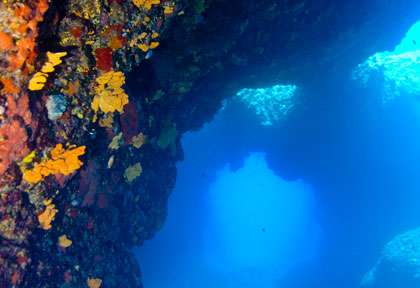 Plongée à Amorgos