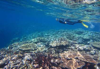 Masque de plongée - Marine Corail - Nouméa