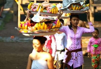 Ubud - Bali © Pacto