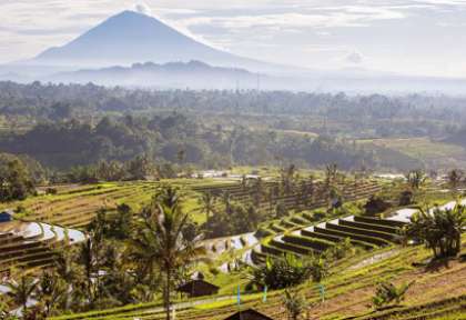 Jati Luwih - Bali - Indonesie © My Good Images - Shutterstock