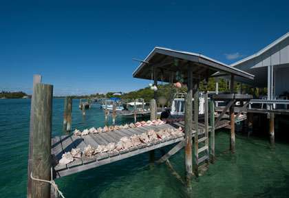 The Abacos