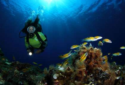 Plongée aux Açores