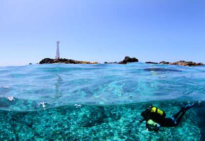 Formigas aux Açores