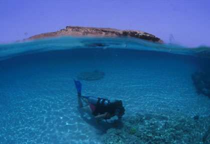 Plongée dans les îles Daymaniyat