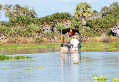 Selous en Tanzanie © Shutterstock - Alexandra Giese