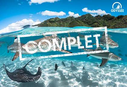 Polynésie française © Greg Lecoeur