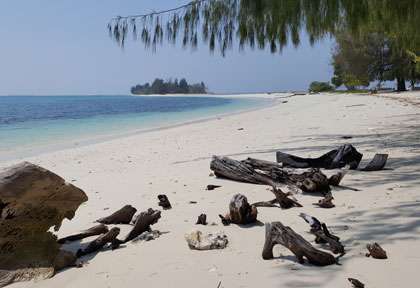 Plongée à Halmahera