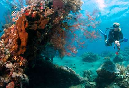 Plongée sur l’épave du US Liberty à Tulamben