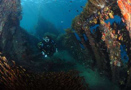 Plongée sur l’épave du US Liberty à Tulamben