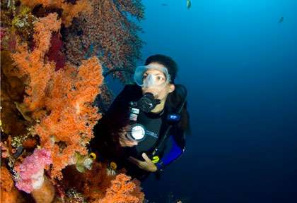Plongée sur les tombants de Amed