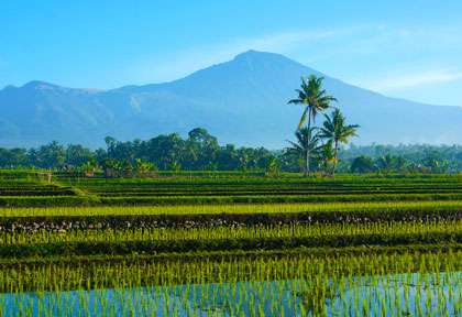 Volcan Rinjani - Lombok - Indonésie © Shahreen - Shutterstock