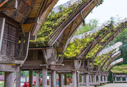 Village Toraja - Sulawesi - Indonésie © Fabio Lamanna - Shutterstock
