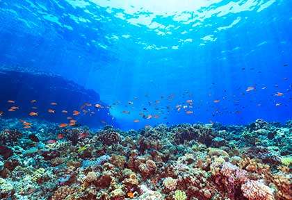 Plongée à Kerama Aka-jima