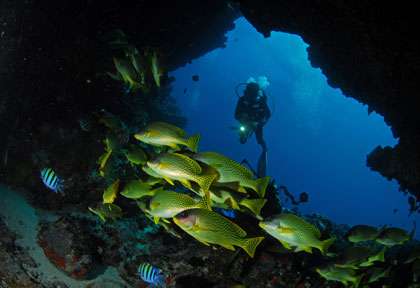 Plongée à Djibouti