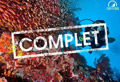 Indonésie - Kalimantan © Shutterstock - Daniel Wilhelm Nilsson