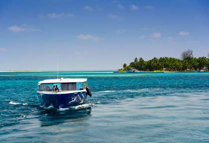 Croisière plongée aux Maldives
