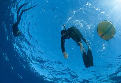 Records du monde d’apnée