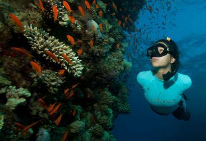 Stage apnée en Mer Rouge