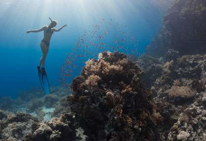 Voyage apnée aux Maldives