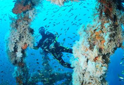 Voyage plongée à Nosy Be