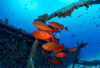 Épave du Water Lilly