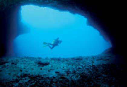 Plongée à Desroches