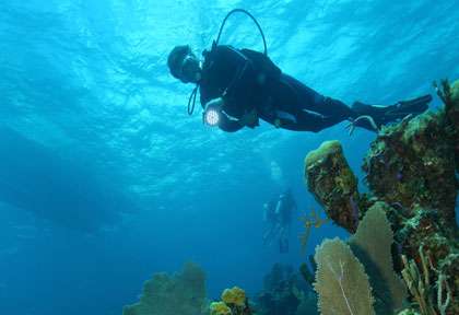 Plonge à Andros aux Bahamas