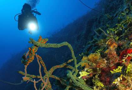 Les tombants d’Andros