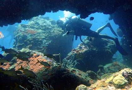 Plongée à Portsmouth Dominique