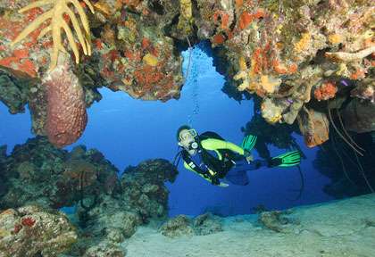Plongée à Grand Turk