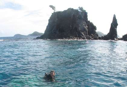 Plongée aux Saintes