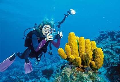 Plongée Grand Cayman