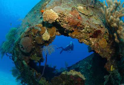 Plongée Grand Cayman