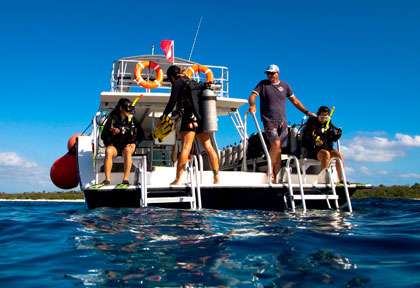 Plongée à Little Cayman