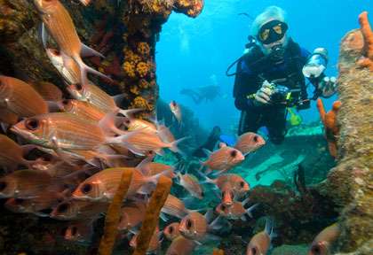 Plongée Iles vierges britanniques