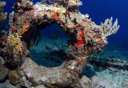 plongée à Peter Island
