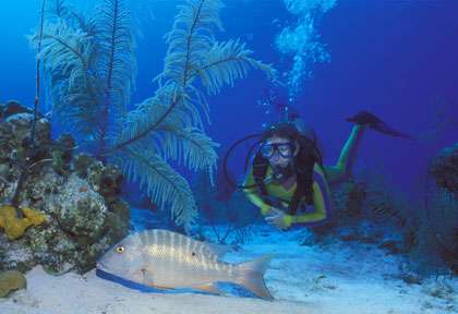 Plongée Turks Caicos