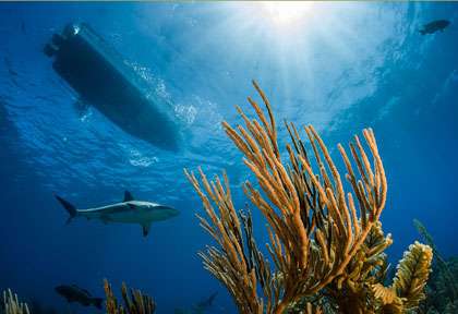 Voyage plongée à Cuba