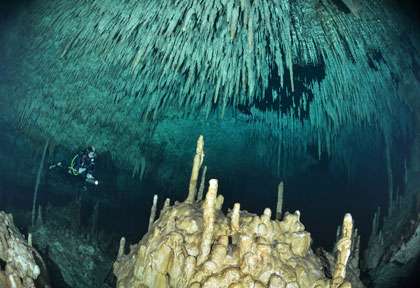 Plongée Cenotes à Playa Del Carmen Yucatan
